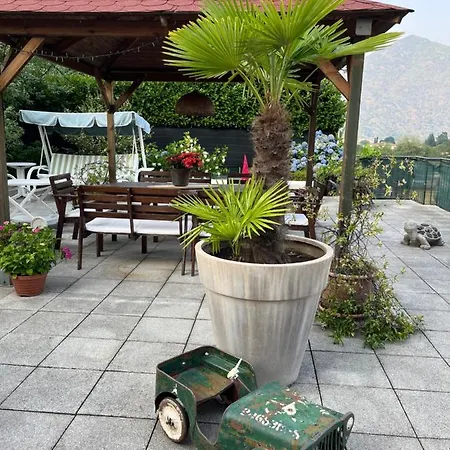 Casa Mimosa